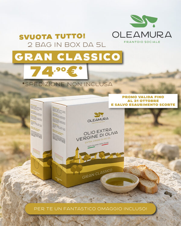Bundle 2 Bag in box 5L - Gran Classico
